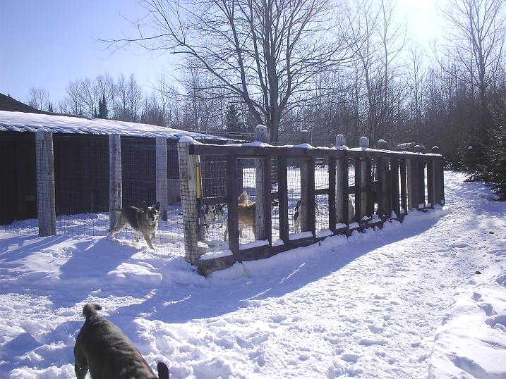 Copper Creek Kennels Facilities